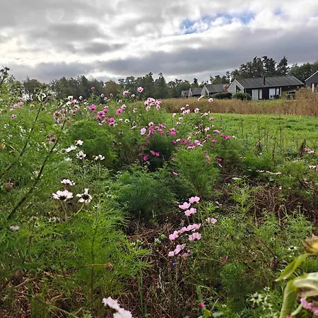 Nyaraló Lakefront Luxury Retreat With Cozy Loft Stubbekøbing
