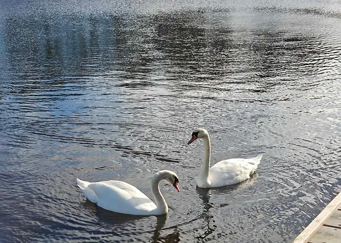 Lakefront Luxury Retreat With Cozy Loft *